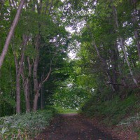 /album/%e3%83%95%e3%82%a9%e3%83%88%e3%82%ae%e3%83%a3%e3%83%a9%e3%83%aa%e3%83%bc/dscn2238-jpg/