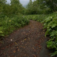 /album/%e3%83%95%e3%82%a9%e3%83%88%e3%82%ae%e3%83%a3%e3%83%a9%e3%83%aa%e3%83%bc/dscn2242-jpg/