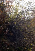 /album/%e3%83%95%e3%82%a9%e3%83%88%e3%82%ae%e3%83%a3%e3%83%a9%e3%83%aa%e3%83%bc1/dscn2734-jpg/