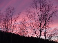 /album/%e3%83%95%e3%82%a9%e3%83%88%e3%82%ae%e3%83%a3%e3%83%a9%e3%83%aa%e3%83%bc%3a-%e5%86%99%e7%9c%9f%e9%9d%a2%e3%80%80%ef%bc%94/imgp0147-jpg/