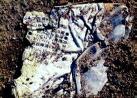 /album/%e7%a9%ba%e3%81%8d%e7%bc%b6/c13-jpg/