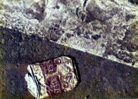 /album/%e7%a9%ba%e3%81%8d%e7%bc%b6/c39-jpg/