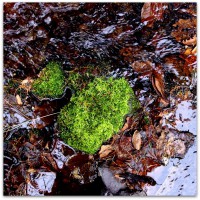 /album/%e5%9c%b0/imgp0286-jpg/