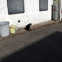 /album/bihoro/imgp1499-jpg/