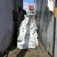 /album/bihoro/imgp1505-jpg/