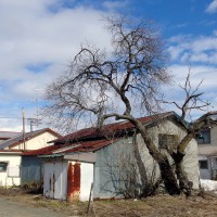 /album/bihoro/imgp1515-jpg/