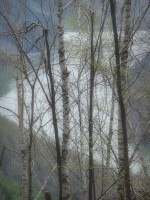 /album/spring-mt-nikoro/imgp1751-jpg/