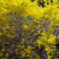 /album/%e5%8c%97%e8%a6%8b%e3%83%95%e3%83%a9%e3%83%af%e3%83%bc%e3%83%91%e3%83%a9%e3%83%80%e3%82%a4%e3%82%b9/imgp1860-jpg/