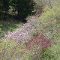 /album/%e5%8c%97%e8%a6%8b%e3%83%95%e3%83%a9%e3%83%af%e3%83%bc%e3%83%91%e3%83%a9%e3%83%80%e3%82%a4%e3%82%b9/imgp1867-jpg/