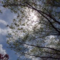 /album/%e5%8c%97%e8%a6%8b%e3%83%95%e3%83%a9%e3%83%af%e3%83%bc%e3%83%91%e3%83%a9%e3%83%80%e3%82%a4%e3%82%b9/imgp1874-jpg/