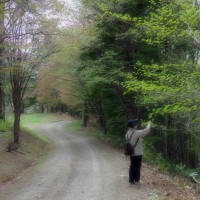 /album/%e5%8c%97%e8%a6%8b%e3%83%95%e3%83%a9%e3%83%af%e3%83%bc%e3%83%91%e3%83%a9%e3%83%80%e3%82%a4%e3%82%b9/imgp1898-jpg/