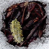 /album/spring-mt-nikoro/a1-imgp3062-jpg/