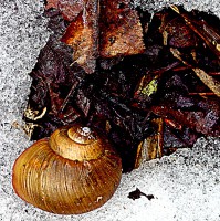 /album/spring-mt-nikoro/a1-imgp3063-jpg/