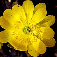 /album/spring-mt-nikoro/a1-imgp3067-jpg/